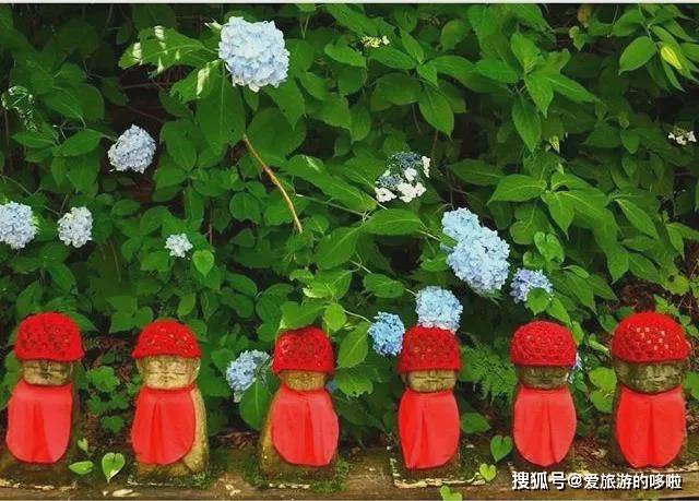 日本最美紫阳花观赏指南 带你开启一场仲夏夜之梦 地址 日本最美紫阳花观赏指南 带你开启一场仲夏夜之梦 地址