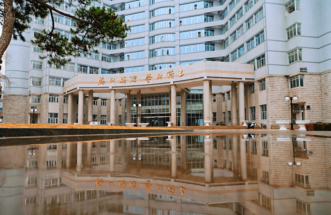 北理排名_深圳北理莫斯科大学(3)