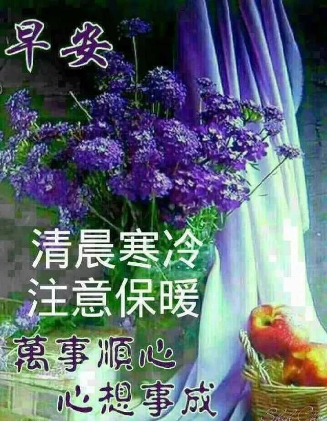 早上好問候祝福語錄大全,特別好看的早上好祝福圖片_朋友