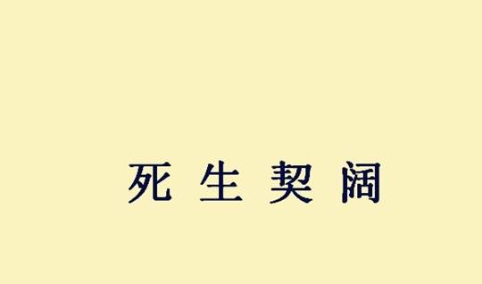 死生打一成语是什么_这是什么成语看图