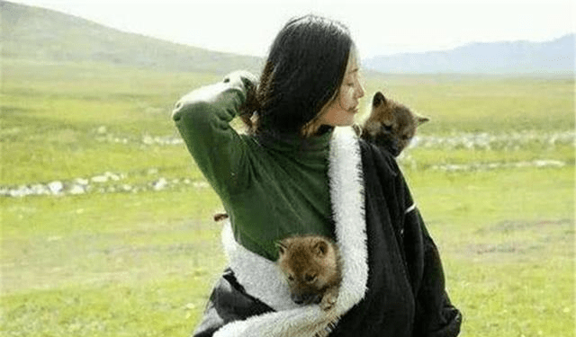 四川美女画家养大了狼王的孩子,放生大自然时说 要离人类远一点