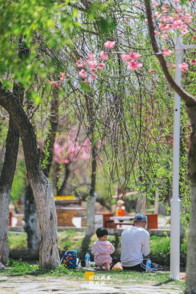 22张照片告诉你丽江的春天有多美