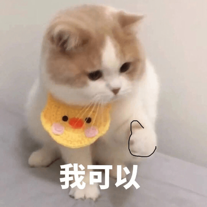 bf24eb22c3704de1ab30463b5906f911.png