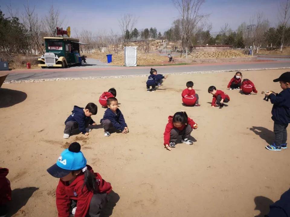 力迈中美(国际)幼儿园图片