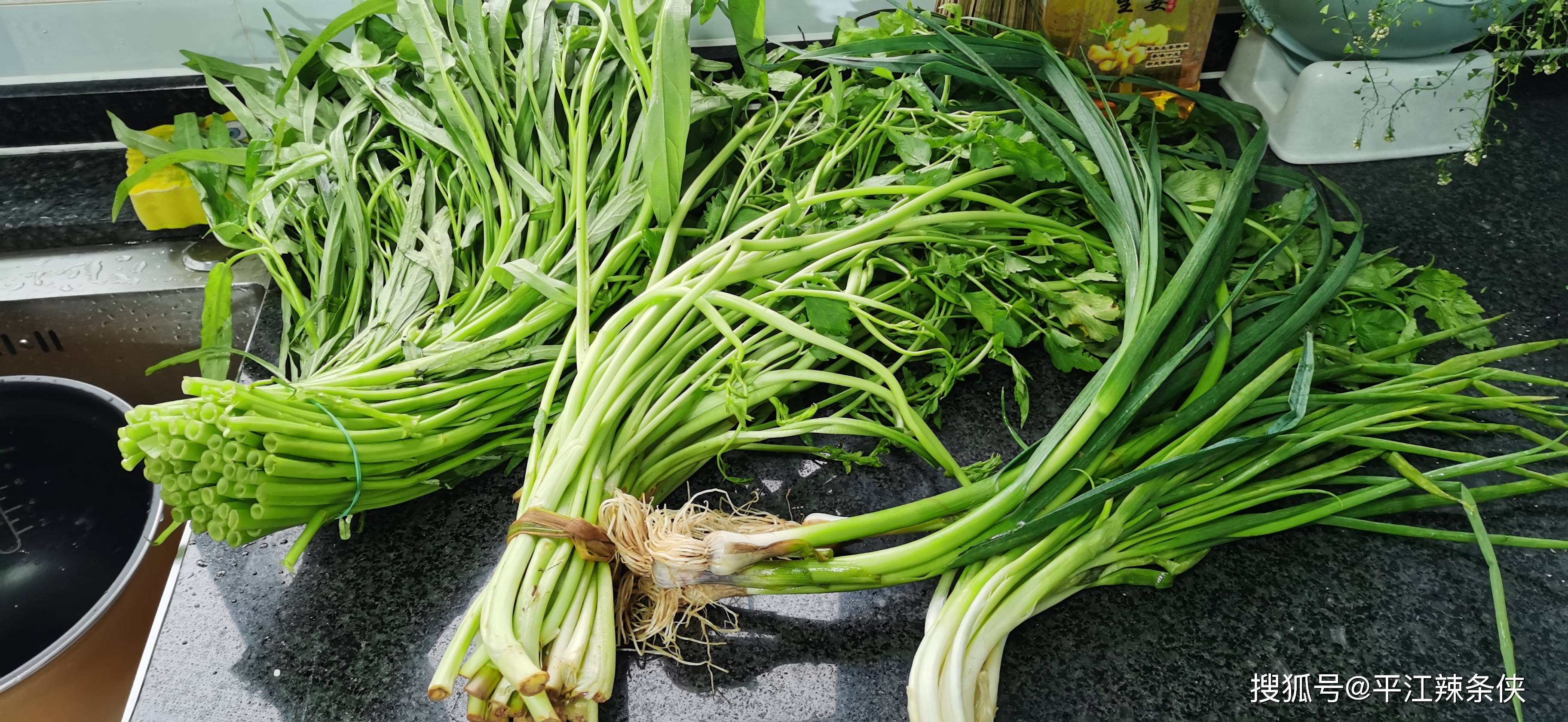 erzi 野菜野菜-