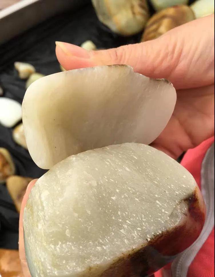 断籽也可以这么美,这个神奇的断籽千金不换!