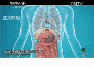 3d16ae56fc334851bdf9a71053b8a3dd.gif