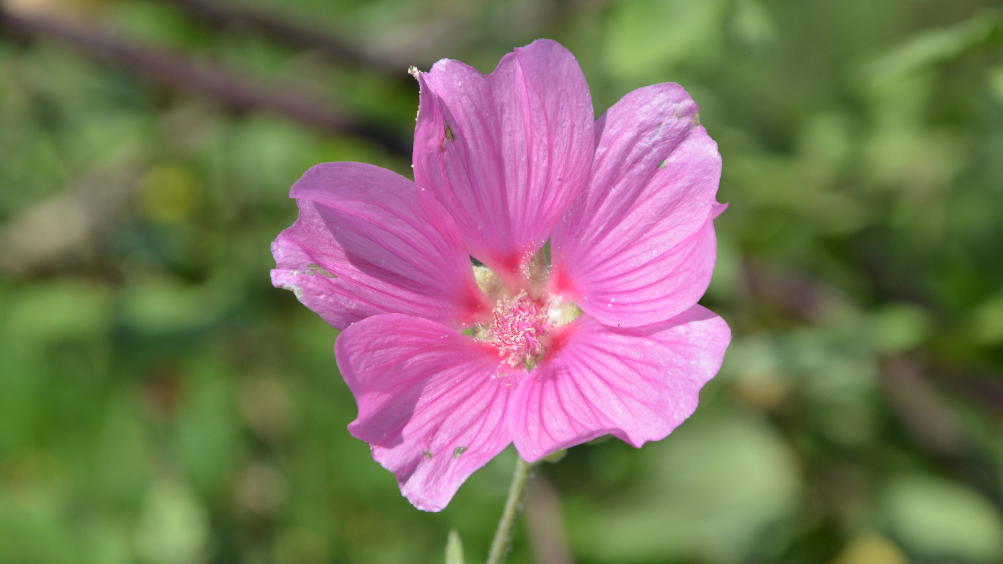 3月27日星座运势 注重细节 思虑周全的四大星座 感情