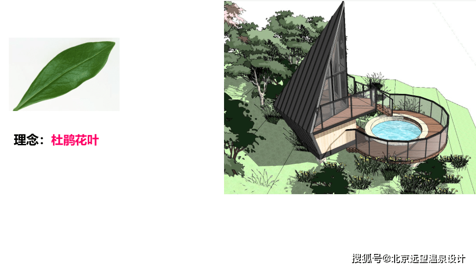 贵州毕节百里杜鹃温泉度假区规划设计方案