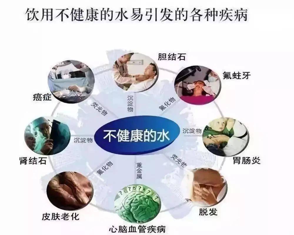 民以食為天,水為食之先_人體