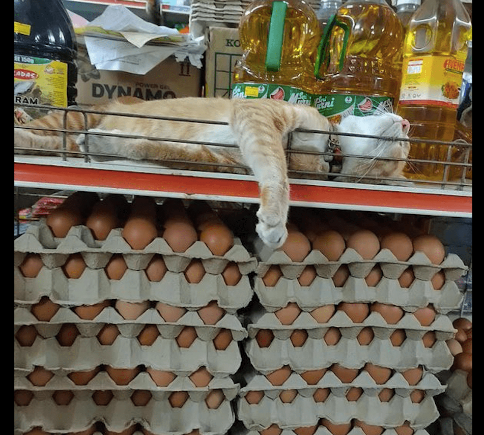 26a74b4ea19c4489b7bb32212f19124b.png