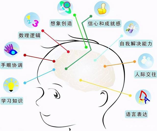 宝宝几个月开始发育大脑 cd40102b1acd404aa5a338dcf1e77893.jpeg