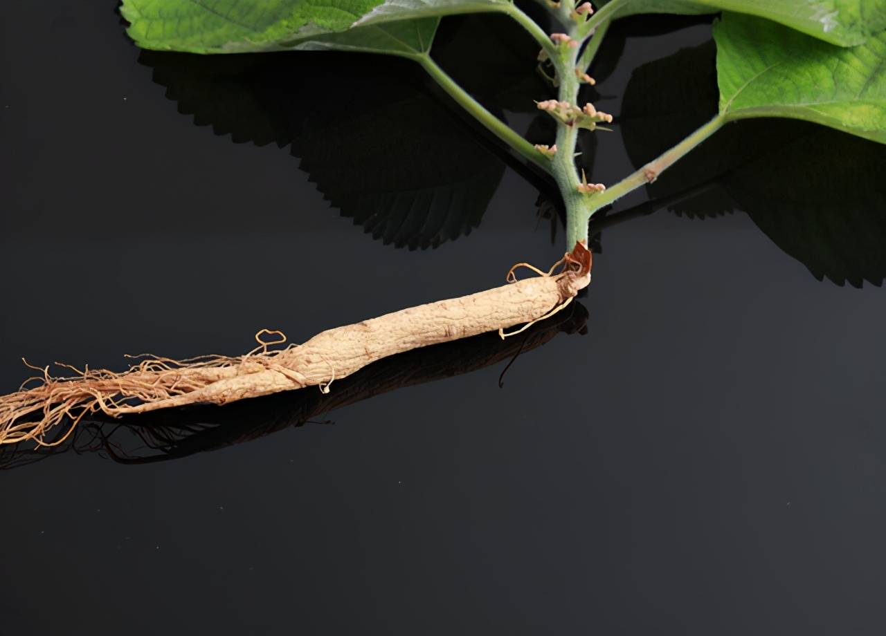 医圣·张仲景:三味"补阳"中药,当"零食"吃,回到强壮二十岁