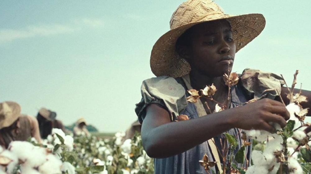 以己度人,美国黑奴与其棉花种植史,看美国如何强迫黑人种植棉花