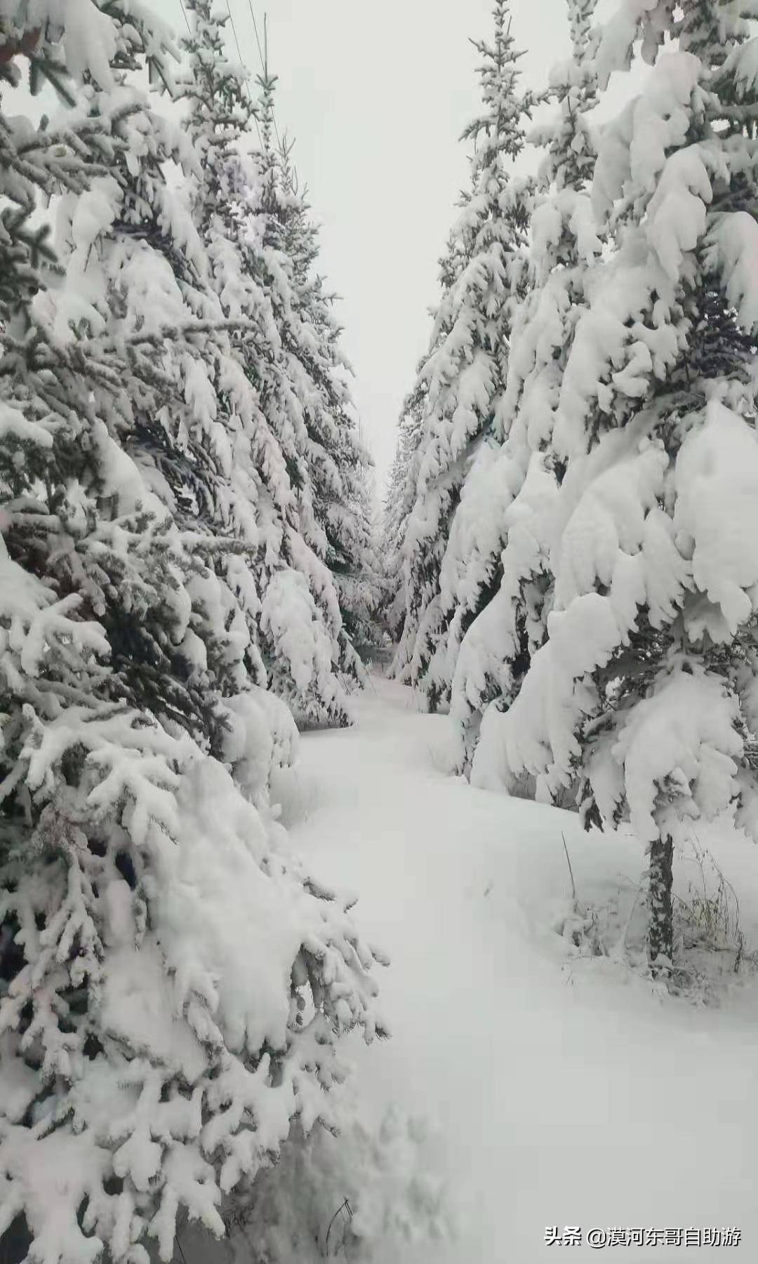 成语白什么迭雪_成语故事图片(3)