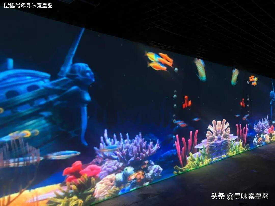 在秦皇岛上的海底世界，竟然能与海洋生灵穿越虚拟与现实