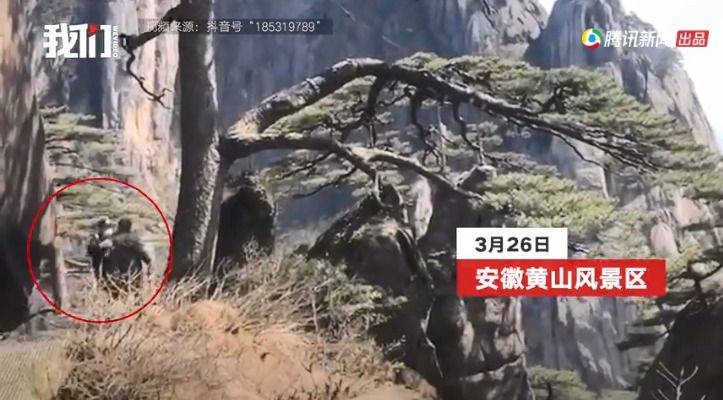 一名男子私自翻栏杆 跑到迎客松下边被保安一把拽回 黄山