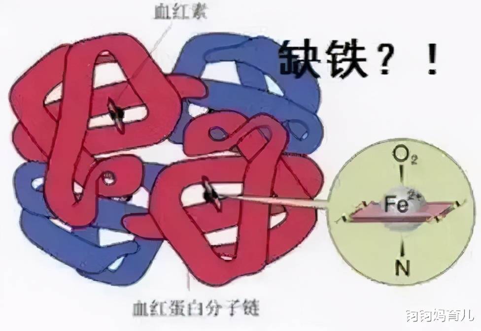 13a87728edf04a03a853bc19ca508d5c.jpeg