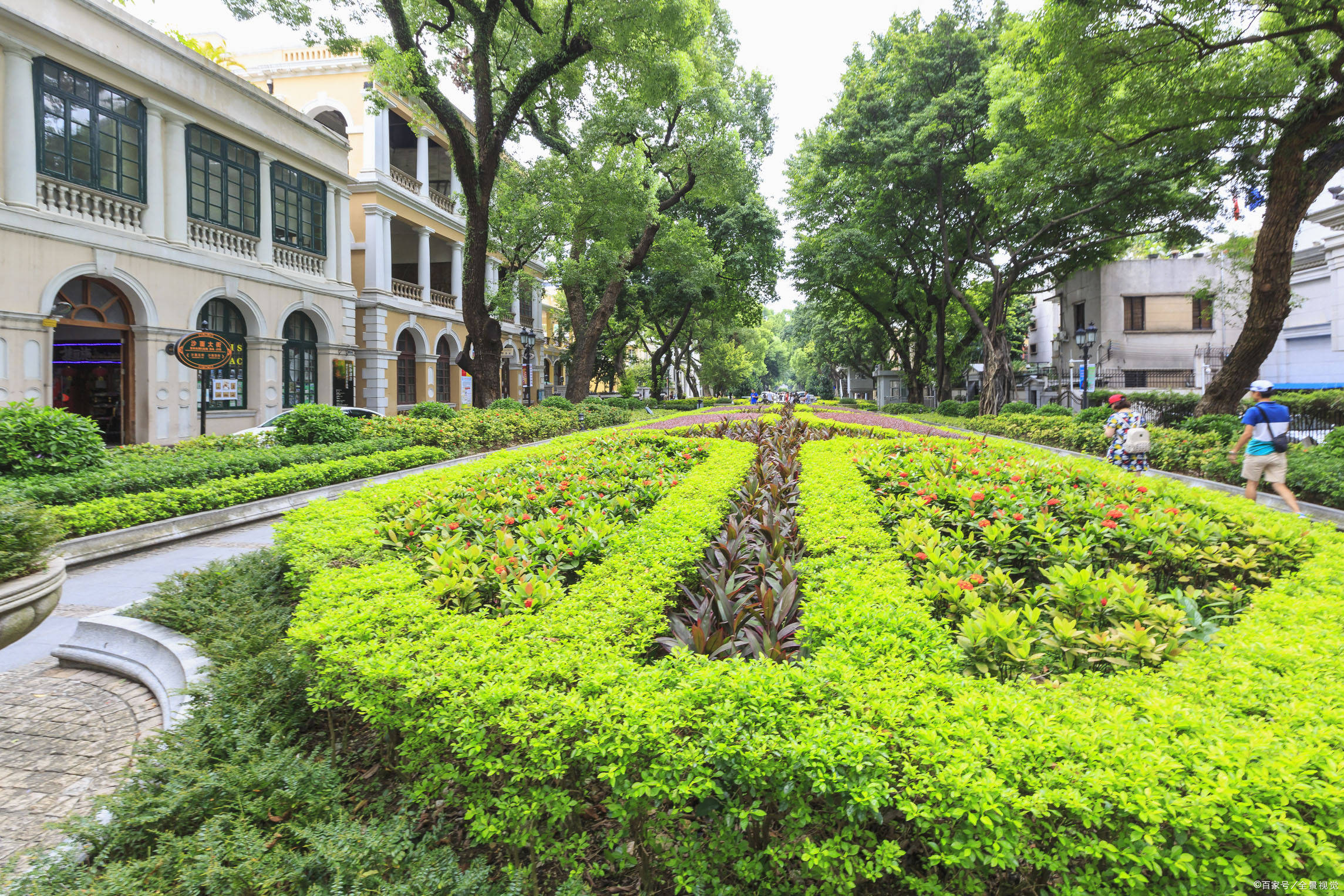 省会gdp排名_人口普查后,省会城市人均GDP普降,哈尔滨石家庄提升空间很大(2)