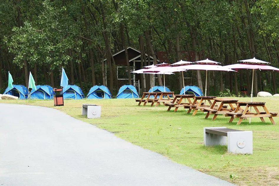 春游江淮请您来如果有机会到合肥你该来这里一次