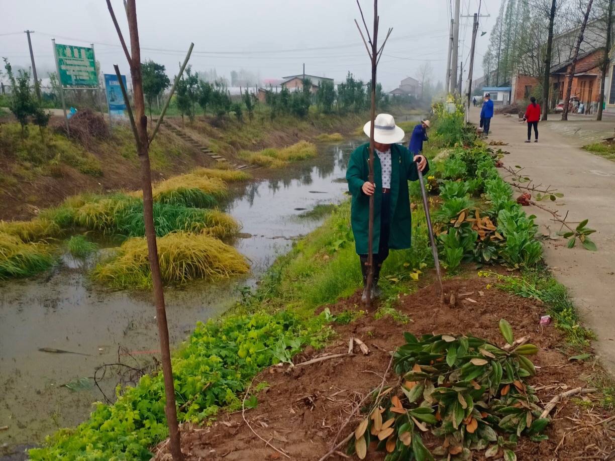 澧縣小渡口鎮:三月謀開局 植綠不歇息