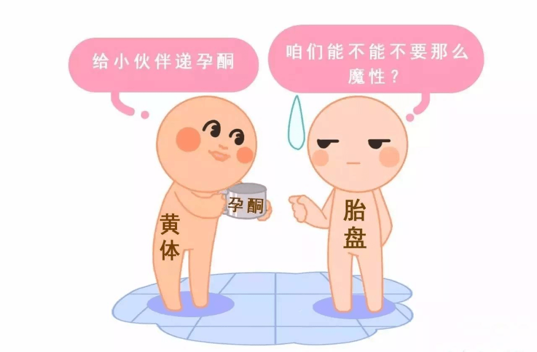 23116fbb95104a4ea2e7af8a9599886c.png