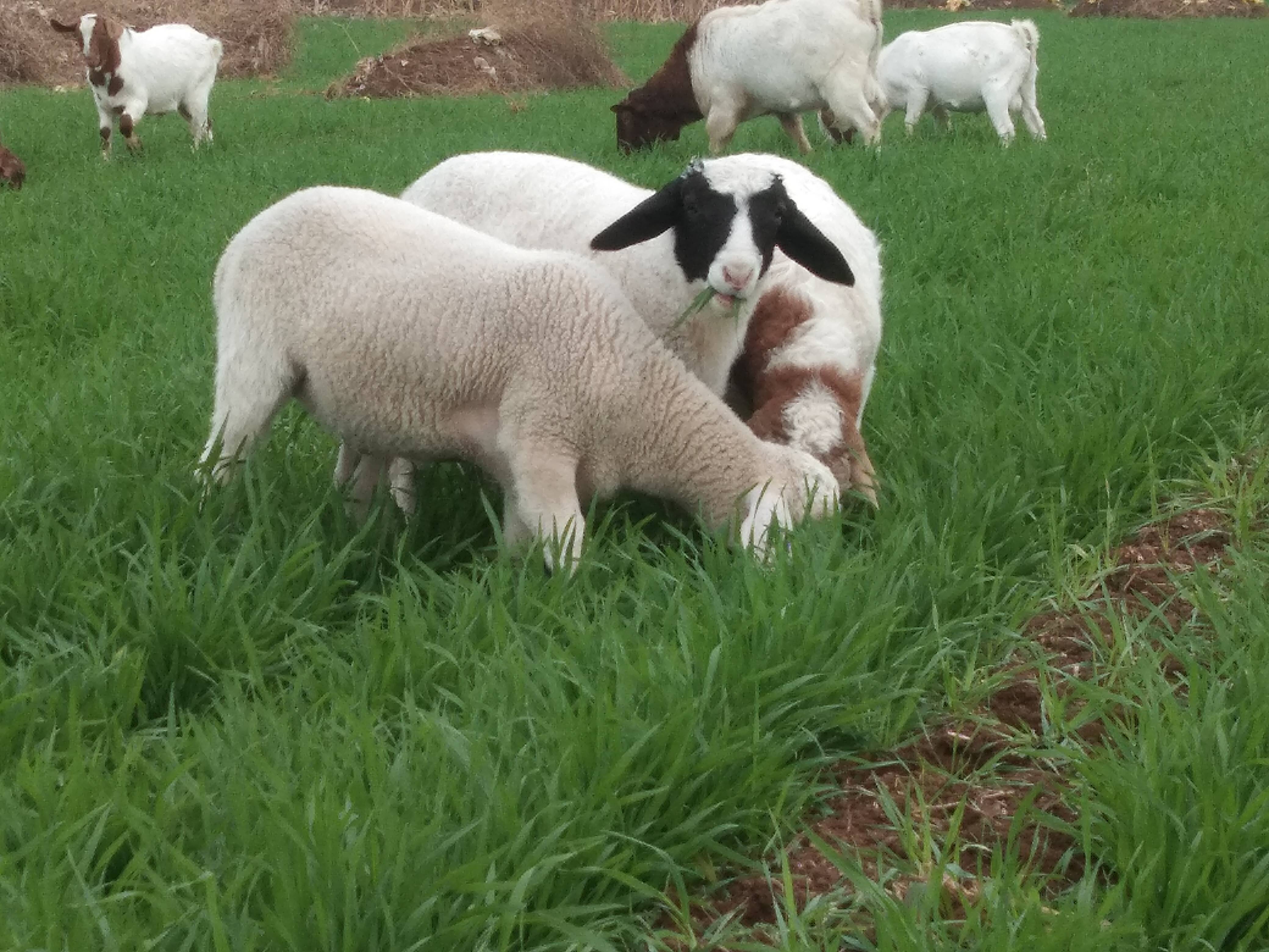 三只羊网络 334725c870824b009dec0ccf2595f221.jpeg