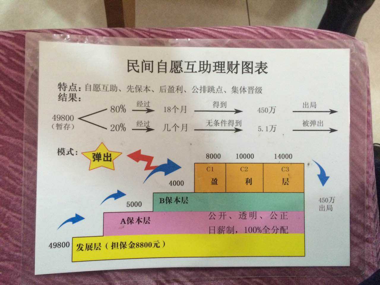 以慈善为借口诱骗他人从事传销活动 "众爱联盟"两名骨干被公诉
