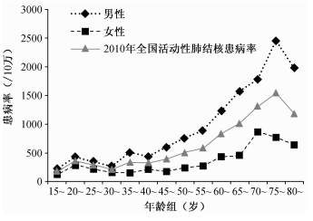 桃江四中精英班图片