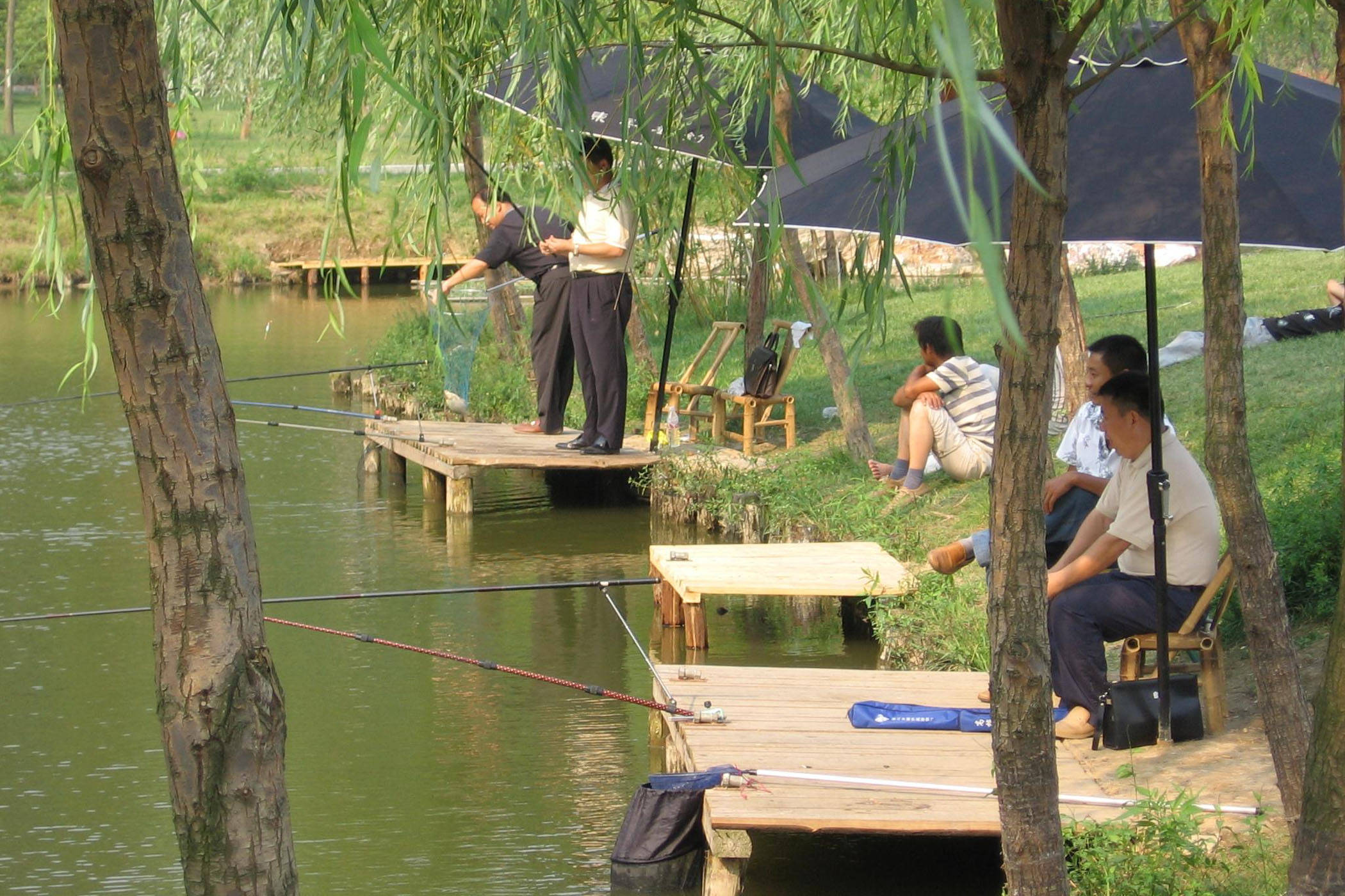 天津静海花园垂钓园图片