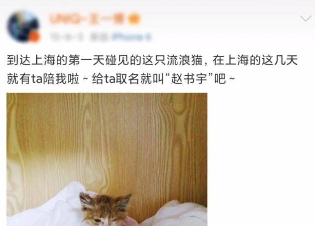 发现了被他捧在手心上宠的小东西,这是一只猫咪,被王一博取名"赵书宇"