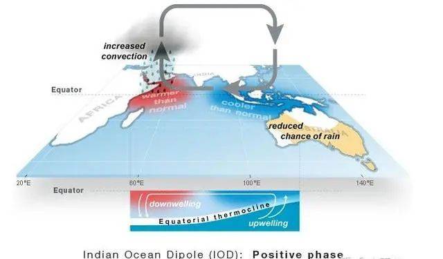 影响|什么是印度洋偶极子？