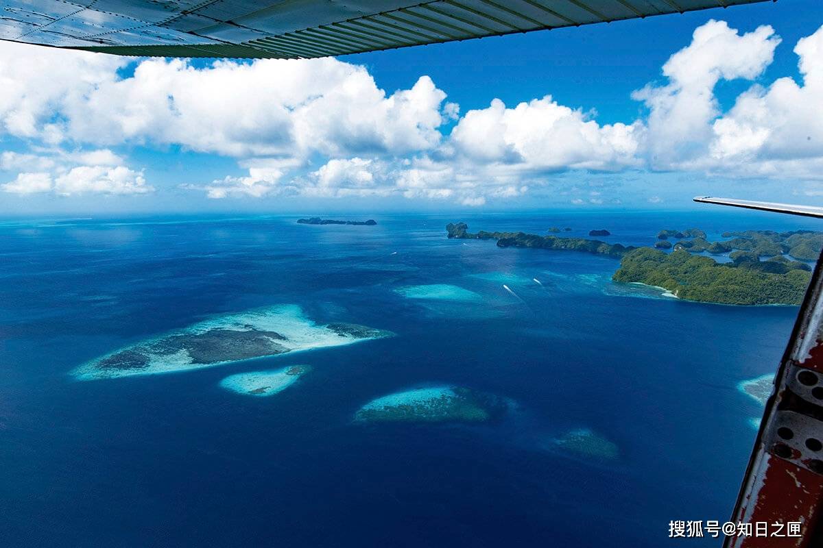 水中最美的“伞兵”!帕劳的镇国之宝，全世界独一无二的水母湖！