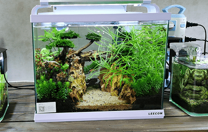 广州圆形锦鲤生态鱼缸造景 问初提供一站式定制服务 陈先生