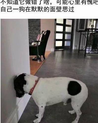cc26da4677b34dbd8ce5f55f9ec46458.jpeg