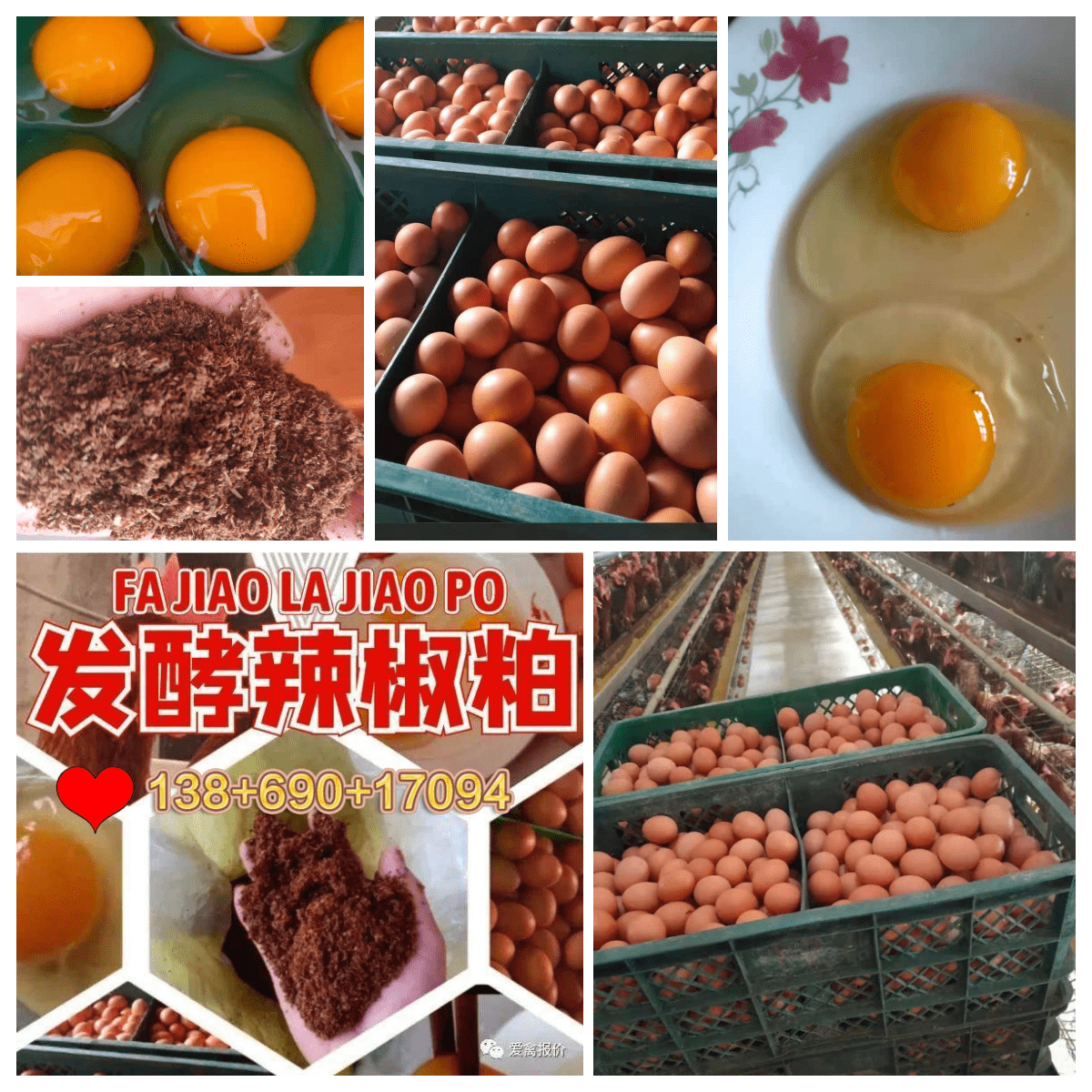 d2ac8c19c9e147189eae11da6c992f4e.png