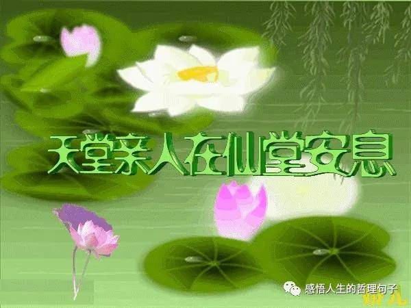 逝去的亲人古筝曲谱_怀念逝去亲人的图片