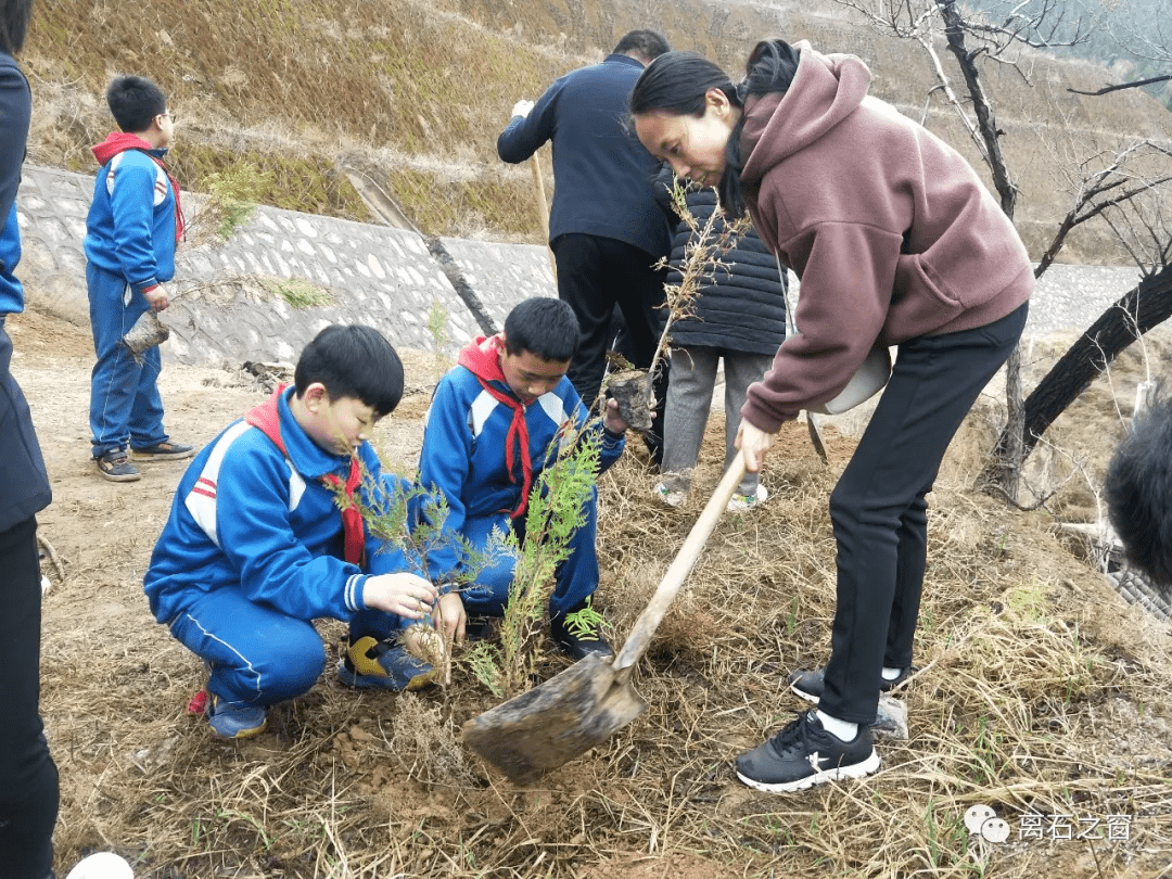 社区|离石：清明植树寄哀思 文明祭祀倡新风
