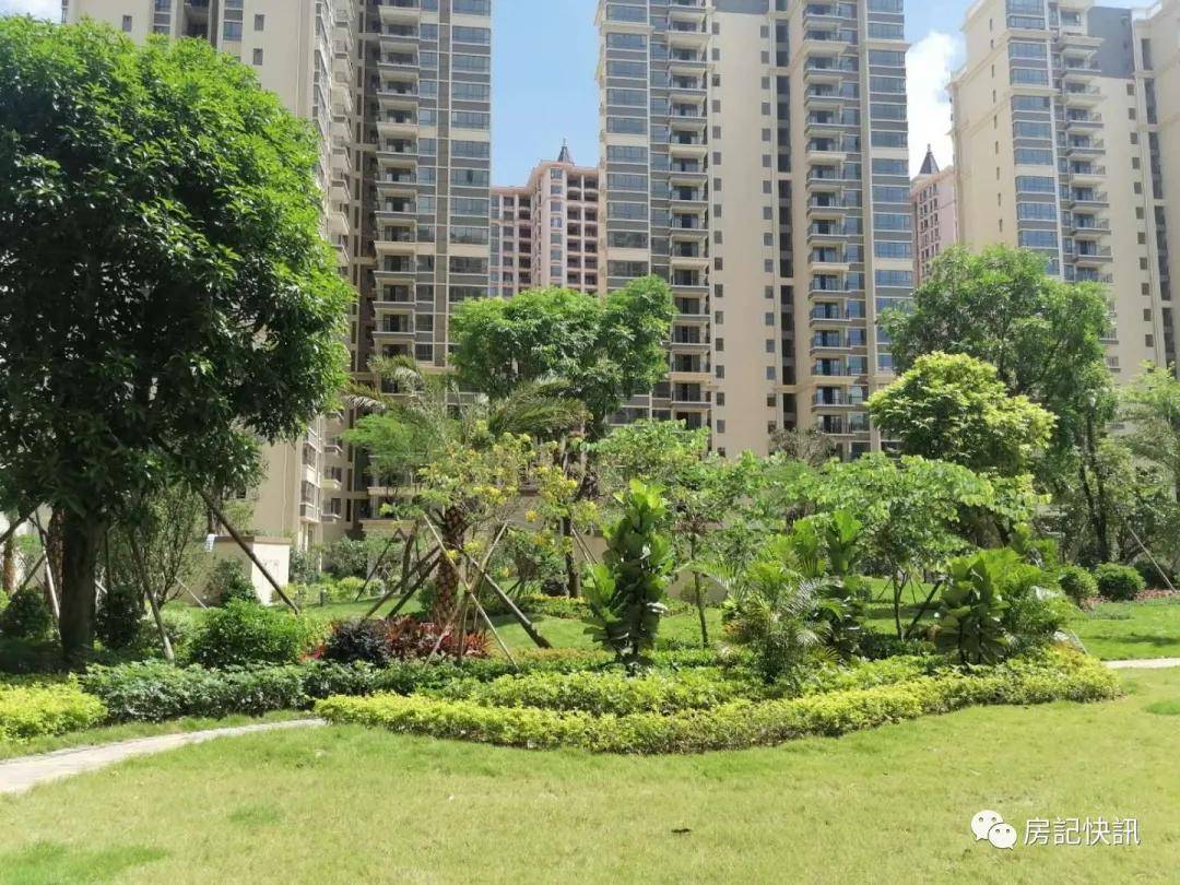 中山【金凯乐花园】——为什么这么火爆?原因如何?