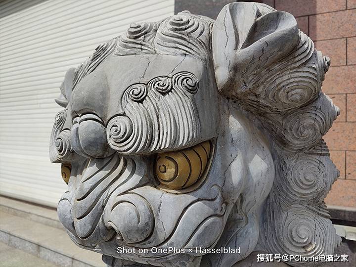 色彩|哈苏色彩调校引领影像潮流 一加 9全面评测