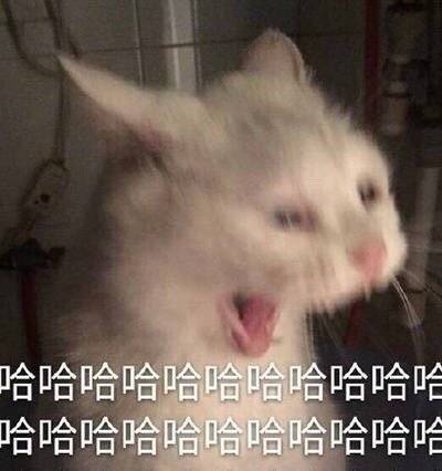 xx:我不是针对一个人,我说的在座都是辣鸡.