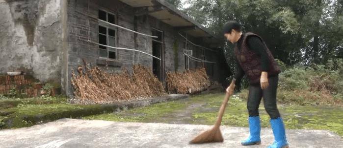 人口普查李_女子23年前为爱私奔成“黑户”,民警人口普查时伸出援手