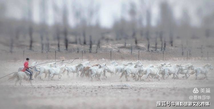 蔓什么成语_成语故事图片