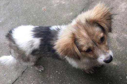 6996ce0cfa824bdbb46bdd8e82592990.jpeg