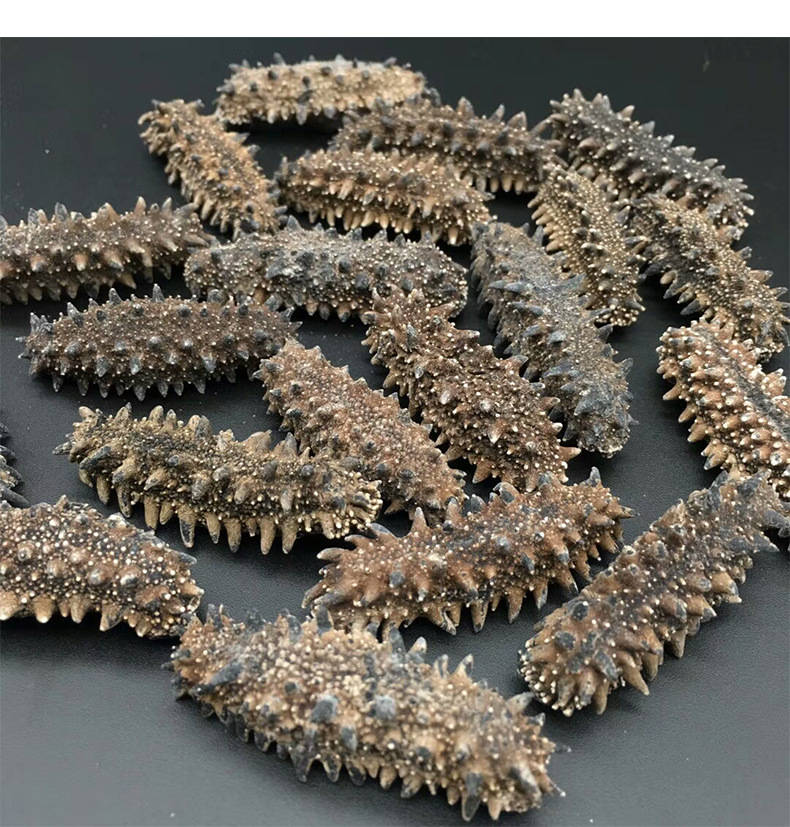 高营养的北海道关东海参早上如何正确食用