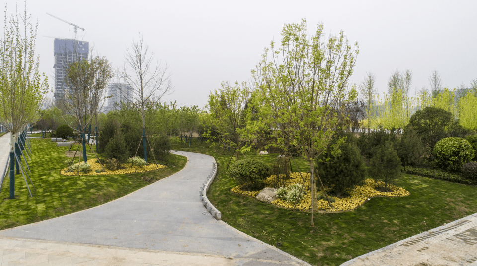 "爱西安 迎全运"西安城市增绿全媒体采风活动走进国际港务区_绿化带