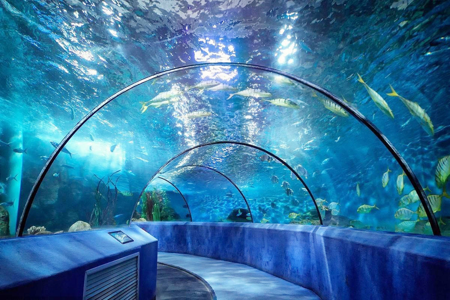 南京适合情侣玩的地方,推荐四个室内好去处,刺激好玩不无聊_景点