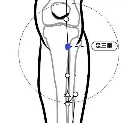 在需刮痧部位先塗抹適量刮痧油,首刮項三帶,以瀉法刮之,因為肩部肌肉