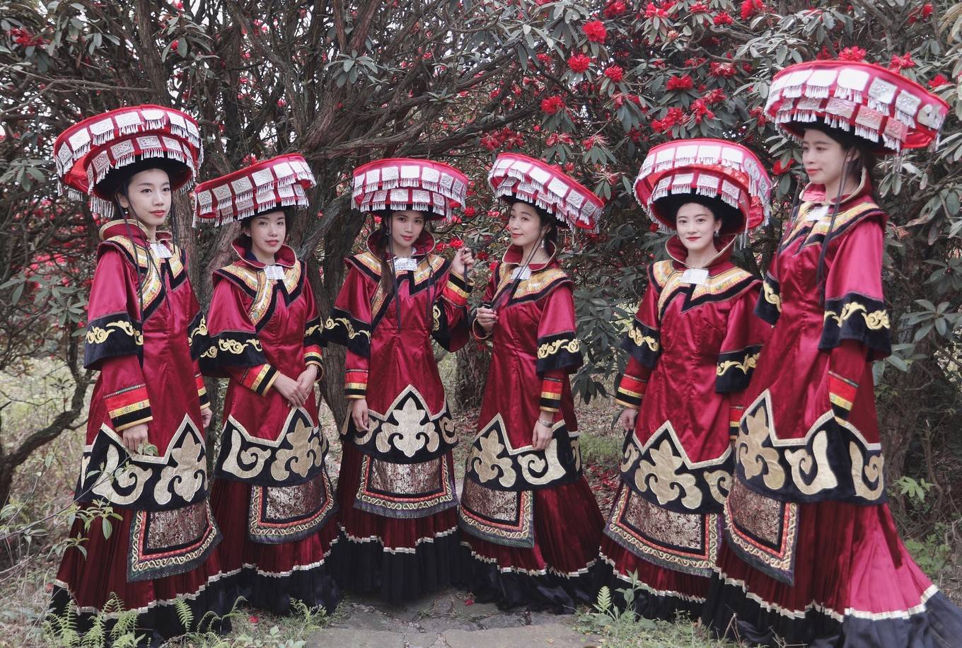 11月8日，贵州毕节百里杜鹃管理区普底乡迎丰村彝族同胞们身着盛装