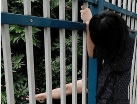 原创
这怎么窗户都结上冰了呢?这样也太壮观了点吧。